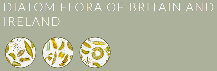 Diatom Flora of Britain
